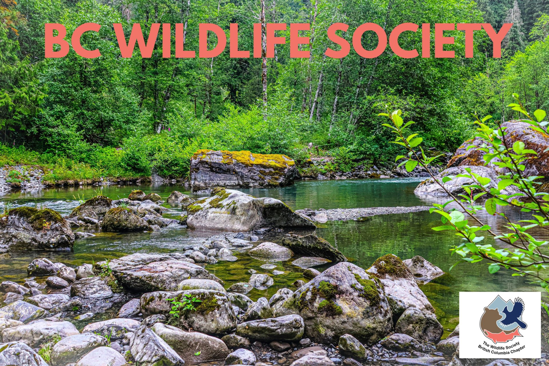 BC Wildfire Society